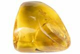 Polished Chiapas Amber With Flora Inclusions ( g) - Mexico #102484-1